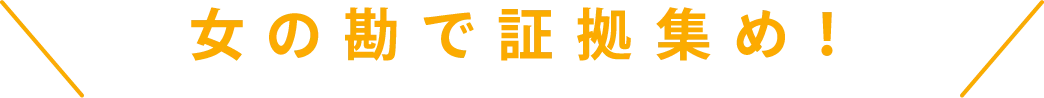 勘で証拠集め！